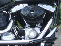 photo Harley-Davidson Cross Bones