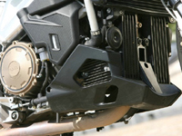photo Aprilia Tuono 1000