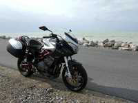 photo Benelli TreK 1130