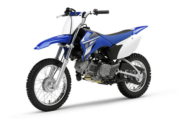 Yamaha TTR