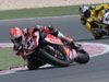 Troy Bayliss sur Ducati prend la t�te au Qatar