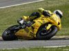 Team Dark Dog Academy : un week-end chaud � Nogaro