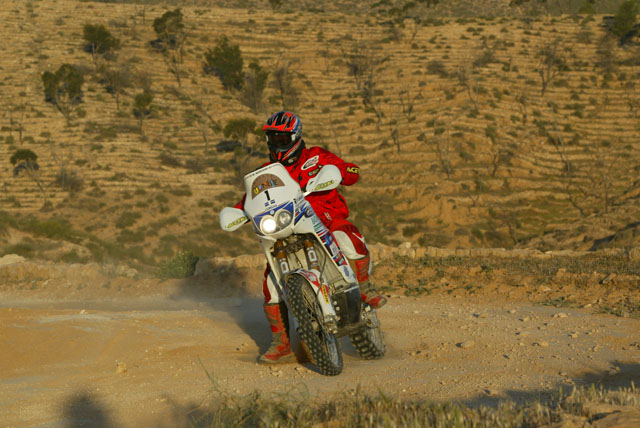 marchini marchini