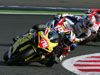 Freddy Foray : 8�me de la Coupe FIM STK 1000 2008