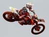 Antonio Cairoli: vid�o de son sacre sur la SXF 350