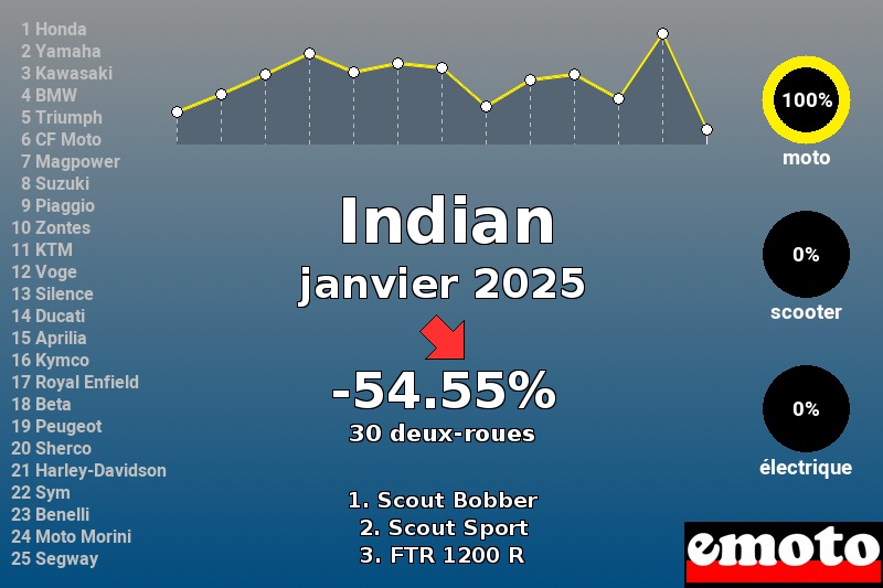 Immatriculations Indian en France en janvier 2025